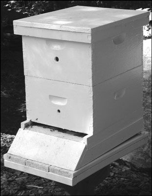 Trous de la taille de bouchons de vin sont utiles pour la ventilation ruche. [Crédit: Photo gracieuseté de Howla
