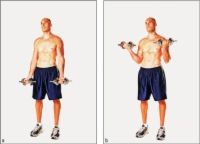 Photographie - 3 musculation biceps exercices