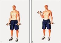 3 musculation biceps exercices