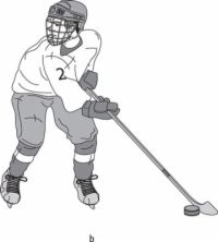 Une collection d'images de compétences de coaching & amp de hockey débutants; exercices dans une journée pour les nuls