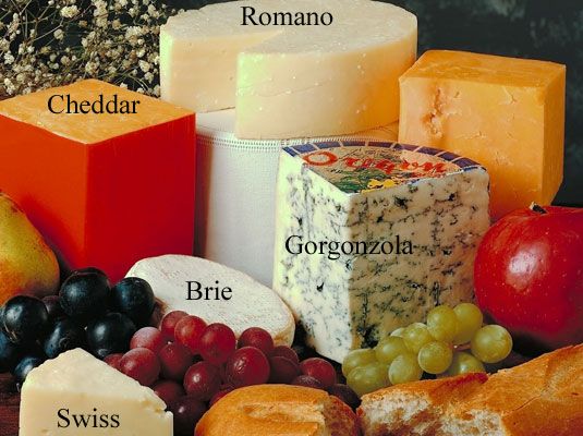 Photographie - A quelques bons fromages