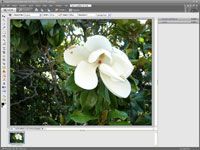 Photographie - Ajout d'un cadre numérique pour vos photos numériques avec des éléments de Adobe Photoshop