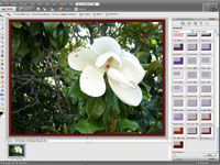 Ajout d'un cadre numérique pour vos photos numériques avec des éléments de Adobe Photoshop