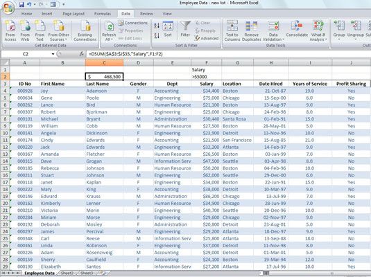 Photographie - Un aperçu des fonctions de base de données d'Excel 2007