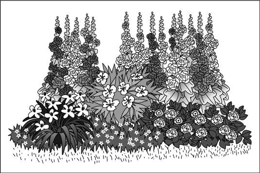 Ajouter une dimension à un lit de fleurs par la plantation des annuelles courtes dans celles de devant et grands à l'arrière.