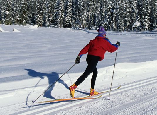Biathlon dans les Jeux olympiques d'hiver