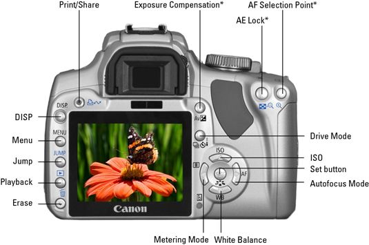 Vérification sur le Canon XTi / 400D du photographe's perspective.