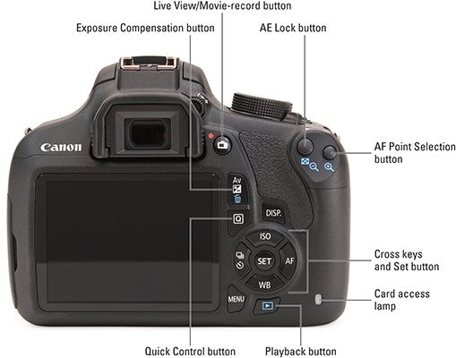 Photographie - Canon EOS Rebel T5 / 1200d pour les nuls
