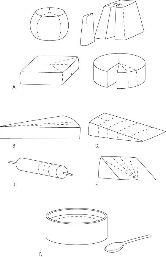 Coupe différents styles et formes de fromage.