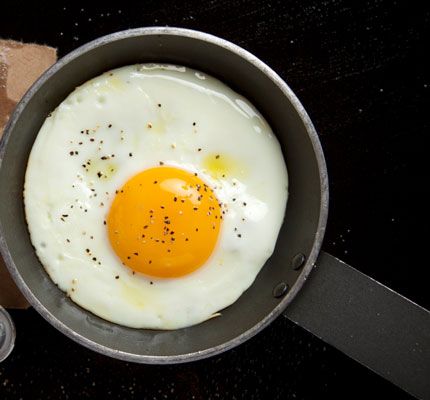 Chia et les œufs brouillés:, pochés, des omelettes, et plus