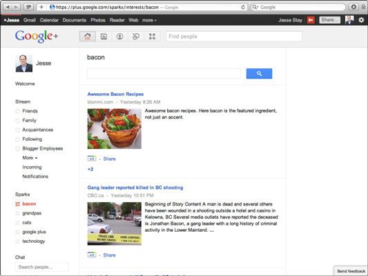 Votre liste des étincelles apparaît dans la colonne de gauche de Google+.