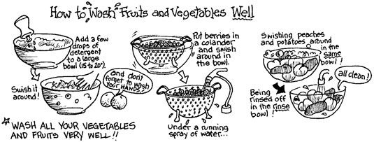 Se laver les fruits et légumes. [Crédit: Illustration par Elizabeth Kurtzman]