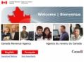 Contenu d'accompagnement pour l'e-book payer moins d'impôt en une journée pour les Canadiens pour les nuls