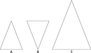 Examinez ces triangles pour voir qui sont les mêmes.
