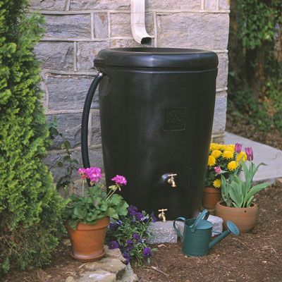 Arrosez votre jardin à partir d'un baril de pluie au lieu de l'eau du robinet pour une'greener' garden. [Credit