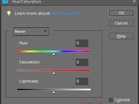 Convertir des images RVB en niveaux de gris dans Photoshop Elements 10