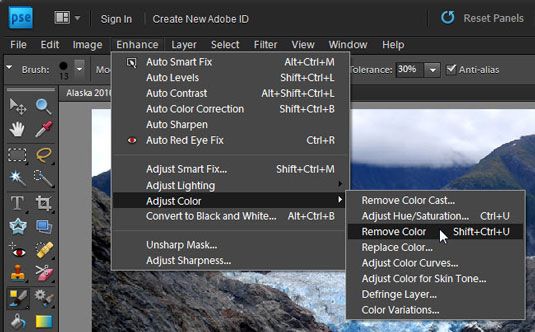 Utilisez la commande Supprimer la couleur pour éliminer toutes les couleurs d'une image.
