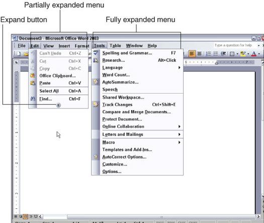 Personnalisation de la barre de menu dans Office 2003