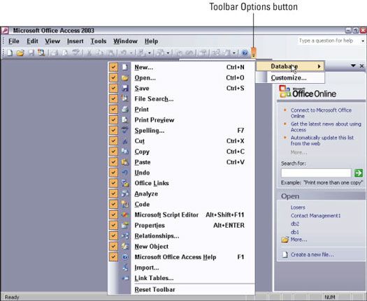Personnalisation de l'interface utilisateur d'Office 2003