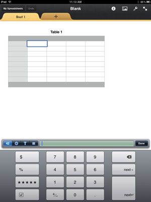 Photographie - Bases de saisie de données pour l'application des numéros pour iPad