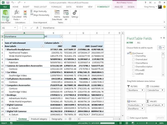 Photographie - La modélisation de données avec PowerPivot dans Excel 2013