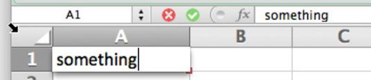 Photographie - Cellules d'édition et de compensation feuille de calcul dans Excel pour Mac 2011