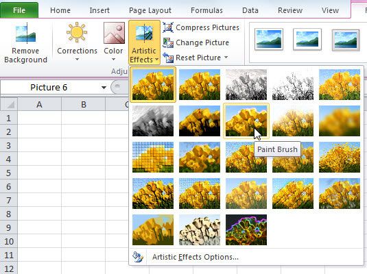 Photographie - Édition et formatage clip art et des photos dans Excel 2010