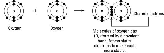 Photographie - Sciences de l'environnement: quelle est la liaison covalente?