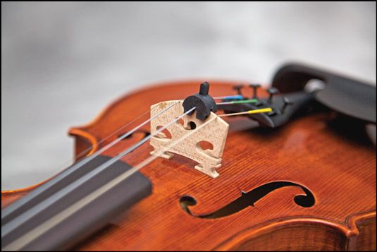 Photographie - Des accessoires essentiels pour le violon
