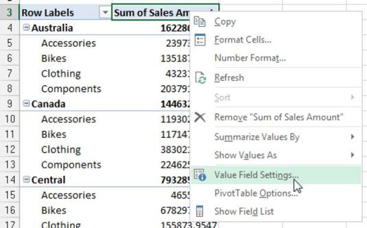 Photographie - Tableaux de bord et rapports Excel: personnaliser les noms de champs de tableau croisé dynamique
