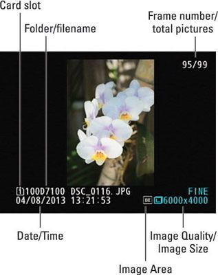 Photographie - Déposer mode d'information sur le D7100 de Nikon