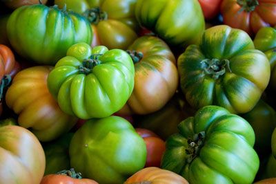 Verts tomates anciennes air assez frais au goût. [Crédit: Longueur focale: 55mm, vitesse d'obturation: 1/1