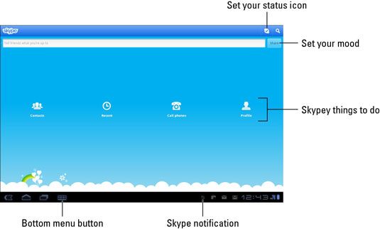 Photographie - Galaxy Tab skype: état et de texte fonctions de chat