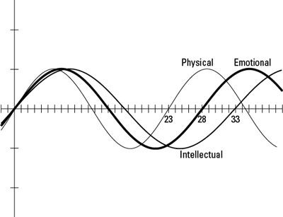 Les trois cycles de biorythme, à partir de la naissance.