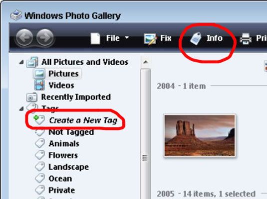 Photographie - Comment ajouter un tag à une photo dans Windows Vista