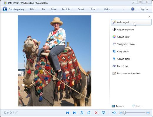 Windows Live Photo Gallery propose à ses outils de photo-fixant le long de son côté droit.