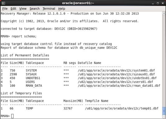 Photographie - Comment les fichiers de sauvegarde avec la gestion de la récupération des jeux de sauvegarde d'Oracle 12c