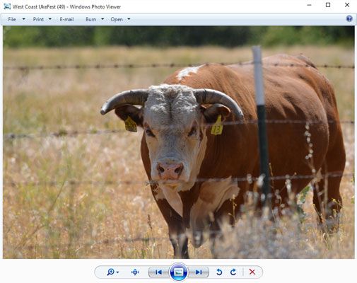 Photographie - Comment pour parcourir les photos dans le dossier Windows 10 photo