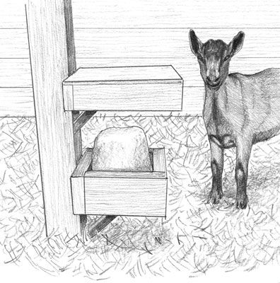 Photographie - Comment construire un support de bloc minéral pour vos chèvres