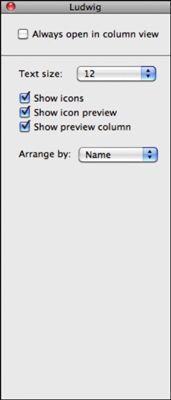 Photographie - Comment changer colonne options d'affichage dans Mac OS X fenêtres de léopards des neiges