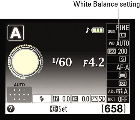 Photographie - Comment modifier les paramètres de balance des blancs sur un Nikon D5100