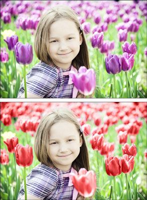 Comment coloriser les images avec l'outil de remplacement de couleur dans Photoshop CS6