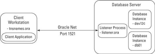 Photographie - Comment se connecter à l'instance de base de données Oracle 12c