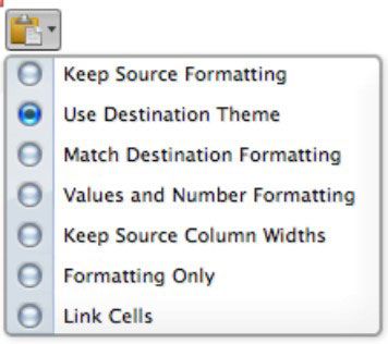 Photographie - Comment copier et coller dans Excel 2011 pour Mac feuille de calcul