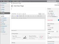 Comment créer une page d'une colonne avec vingt dix thème wordpress