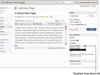 Comment créer une page d'une colonne avec vingt dix thème wordpress
