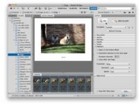 Comment créer une présentation PDF avec le gestionnaire de sortie Adobe