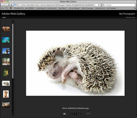 Comment créer une galerie Web avec vos images Photoshop CS6
