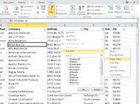 Comment créer des filtres automatiques pour le texte dans Excel 2010