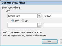 Comment créer des filtres automatiques pour le texte dans Excel 2010